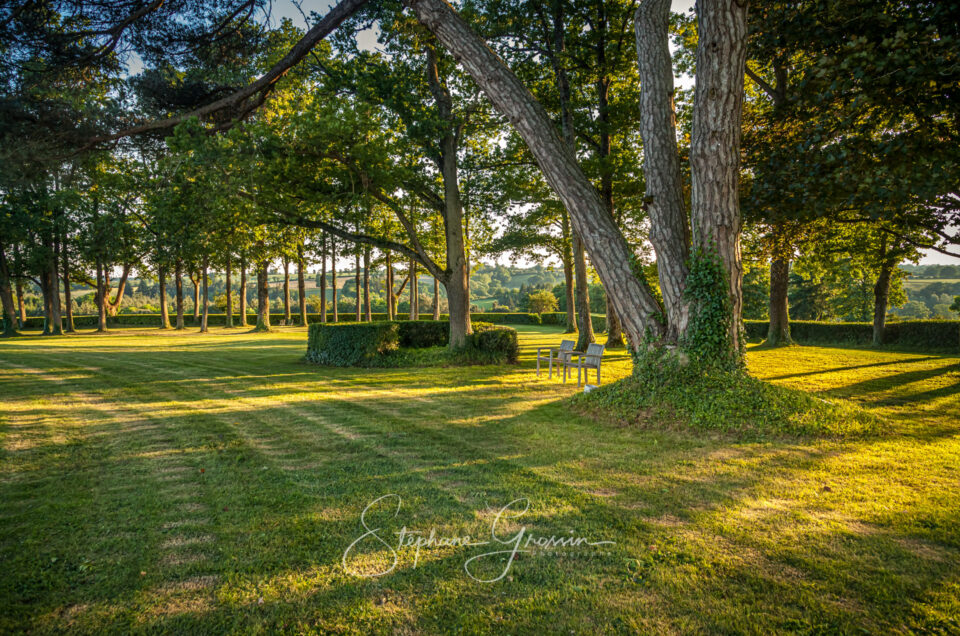 La photographie professionnelle : un outil de valorisation des parcs et jardins