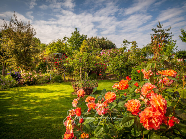 Le Jardin d’Alcime à La Guyonnière en Vendée, c’est un lieu original et à part, créé de toute pièce par son propriétaire.