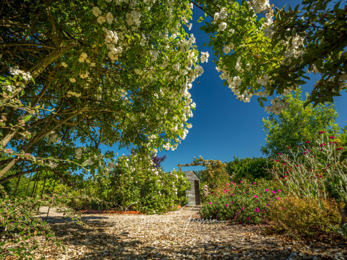 Le jardin des Rigonneries à Saint-Hilaire-de-Riez en Vendée est un lieu créé de toute pièce par un couple passionné.