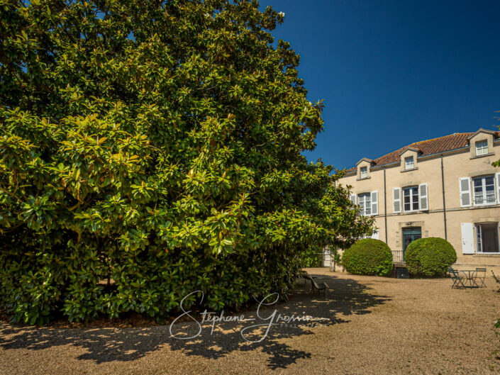 Reportage photo dans les jardins de la maison du maréchal De Lattre De tassigny à Mouilleron-en-Pareds. Un reportage photo avec une belle série d’images d’un des lieux illustrant un des personnages emblématiques de la Vendée.